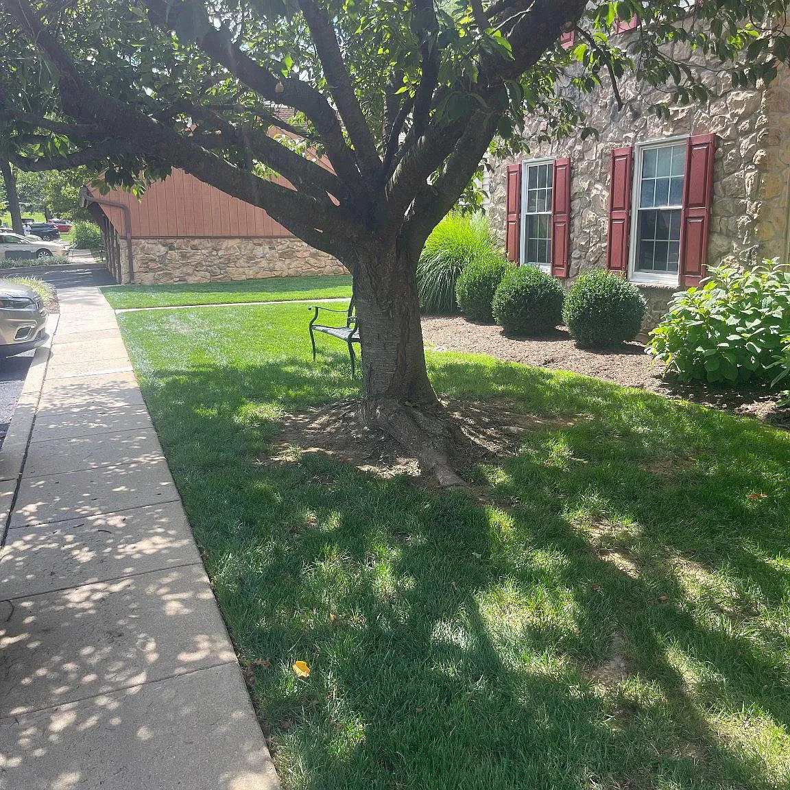 1 bed, 1.0 bath, 946 sqft, $1,200 — Photo 4