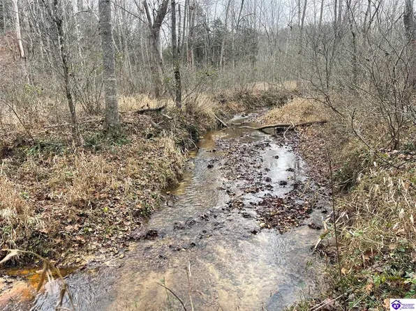 PARCEL Fuller Harding Rd #L, Campbellsville, KY 42718
