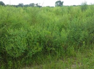 117 Roberto Ln, Florahome, FL 32140