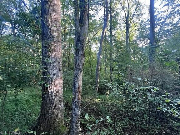 4th image of 0 Mount Bethel Church Rd Lot 2 & 3