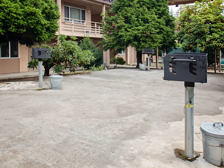 Firs — Photo 19