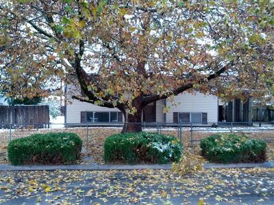 824 N 250 W, Brigham City, UT, 84302