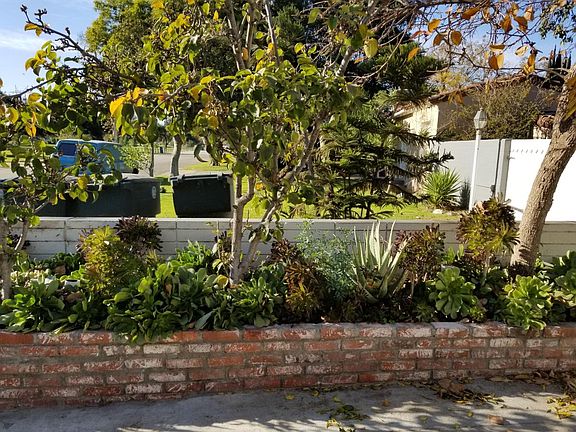 planter along driveway