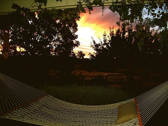 Sunset view from grapevine laced pergola off the back porch