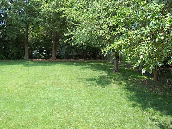 Spacious Backyard