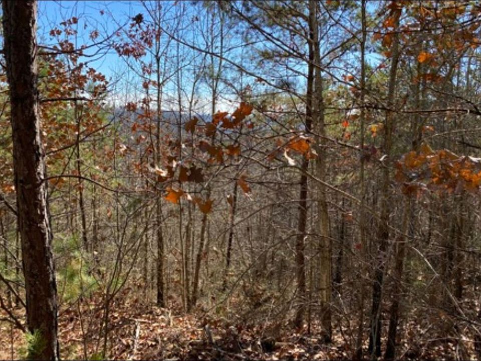 2nd image of 72 Fox Trot Ln
