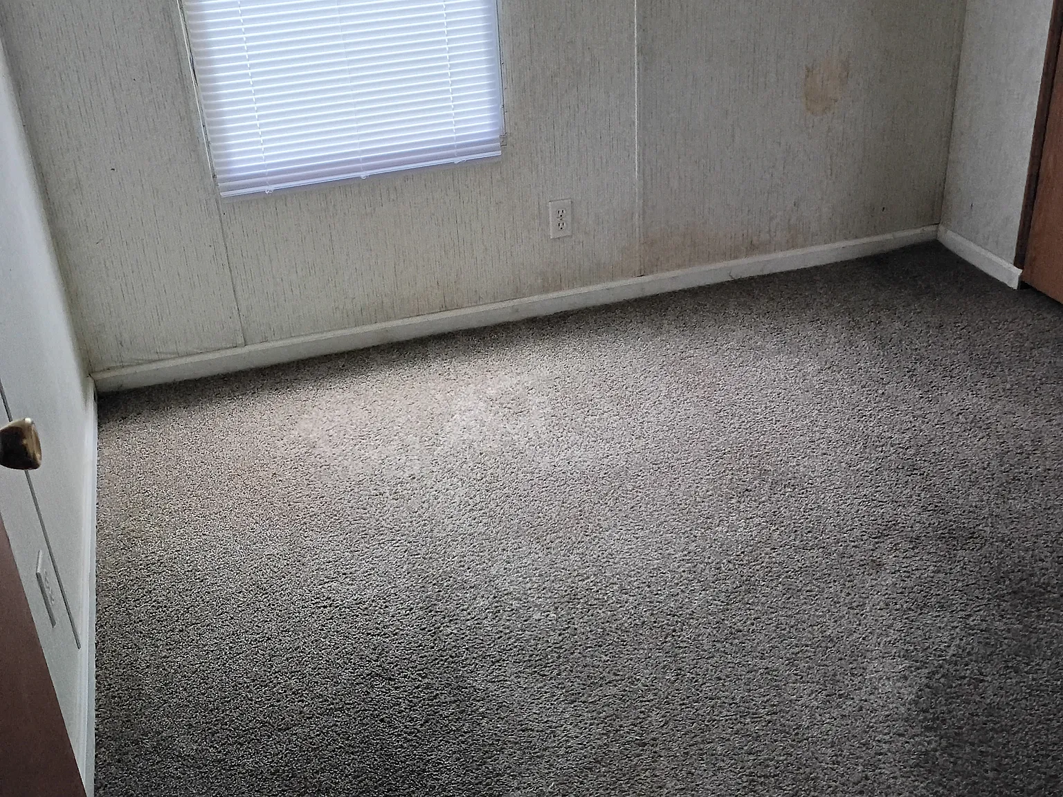 4 bed, 945 sqft, $1,360 — Photo 3
