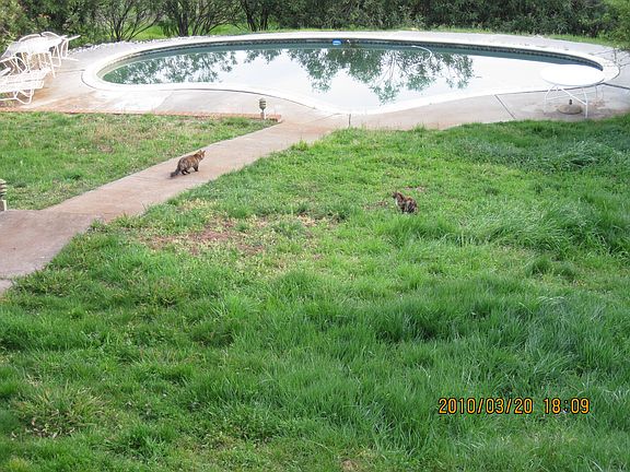 5th image of 1131 Scenic Pine Dr