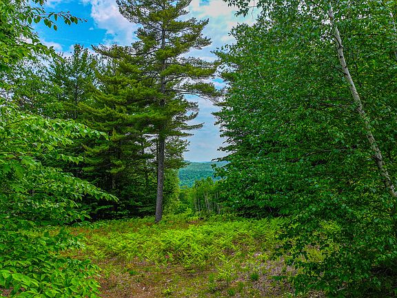 2nd image of Lot 31C David Road