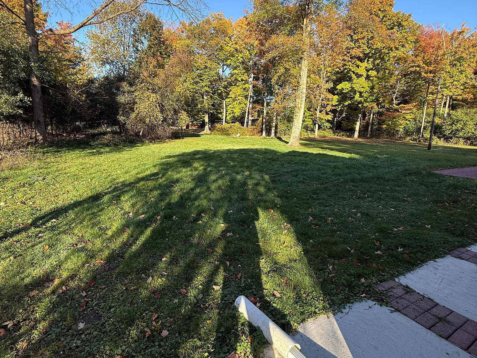 Orchard Lake Rd, Farmington Hills — Photo 3