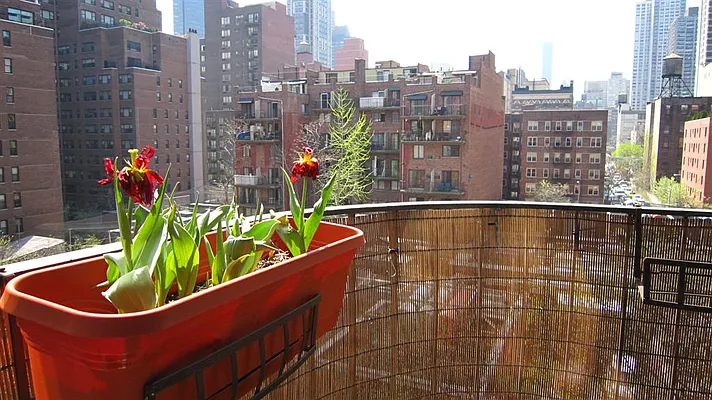 Rented by Marc Magid, Landlord | media 1