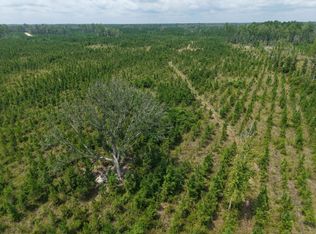 LOT 5 Owens Ferry Rd, White Oak, GA 31568
