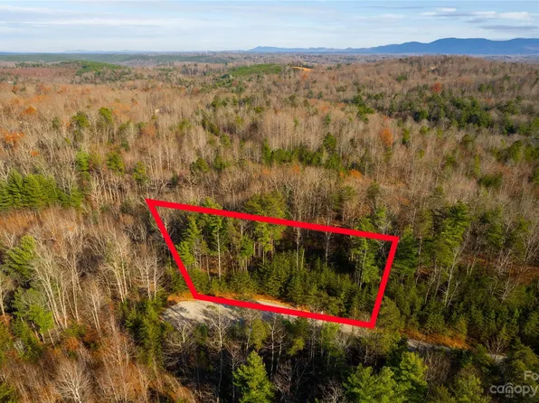 102 Boysenberry Dr, Nebo, NC 28761