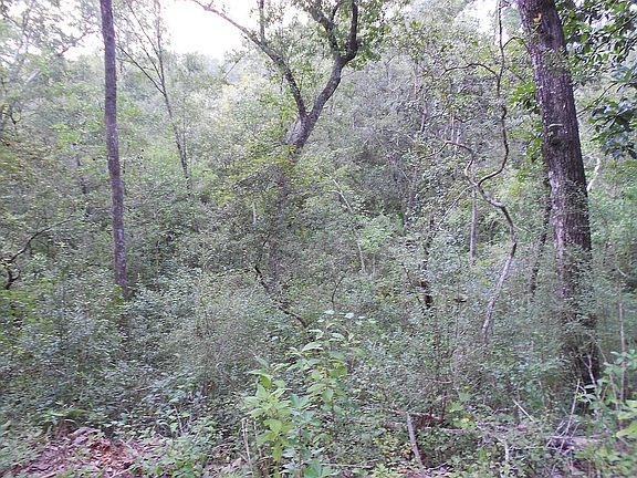 Back of property