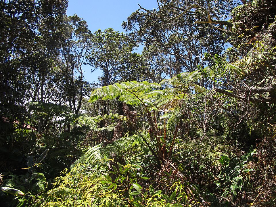 2nd image of Nahelenani St Lot 53-B-388