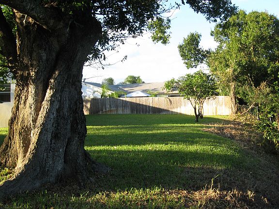 Back yard
