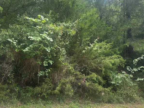 Cedar Valley, Coldspring, TX 77331