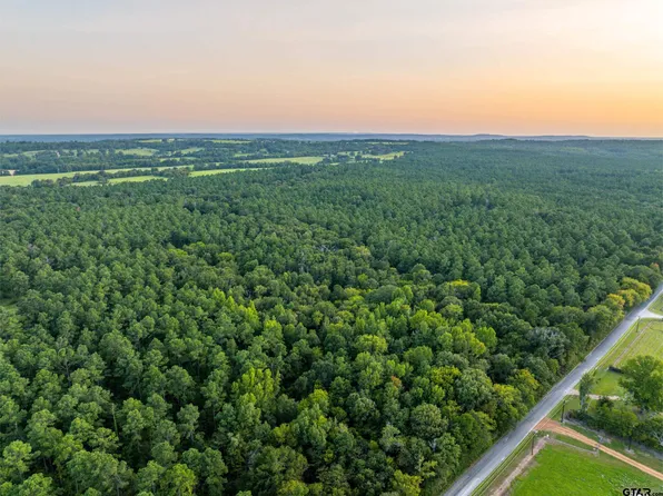 TRACT 10 County Road 4222, Frankston, TX 75763