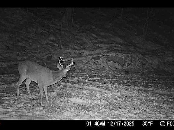 2nd image of 31382 Stevens Branch Rd