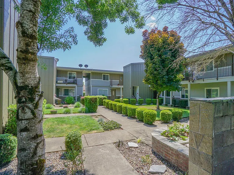 Trees Apartment Available Now — Photo 36