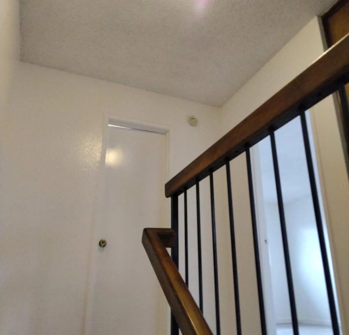 2 bed, 1080 sqft, $2,350 — Photo 3