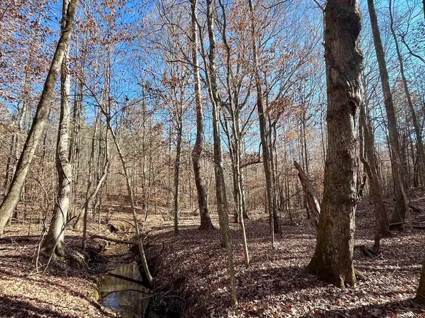 0 County Road 432 #1, Woodland, AL 36280