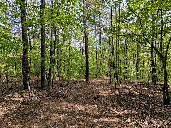 4th image of 5694 Ladd Springs Rd