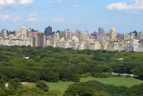 Rented by Citi Habitats | media 10