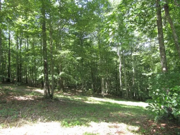 0 Western Way Lot 1, Hilham, TN 38568