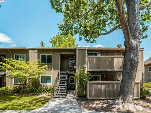 3290 Red Cedar Ter, Fremont, CA 94536