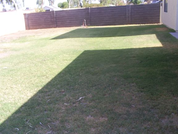 huge backyard