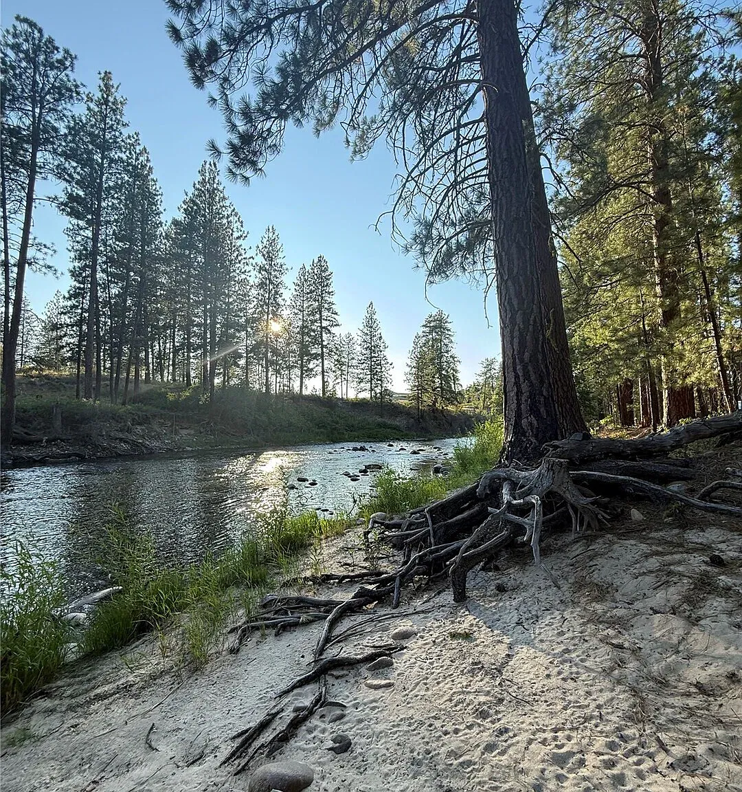 Studio, 576 sqft, $1,750 — Photo 1