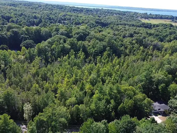 4715 Springbrook Dr, Williamsburg, MI 49690