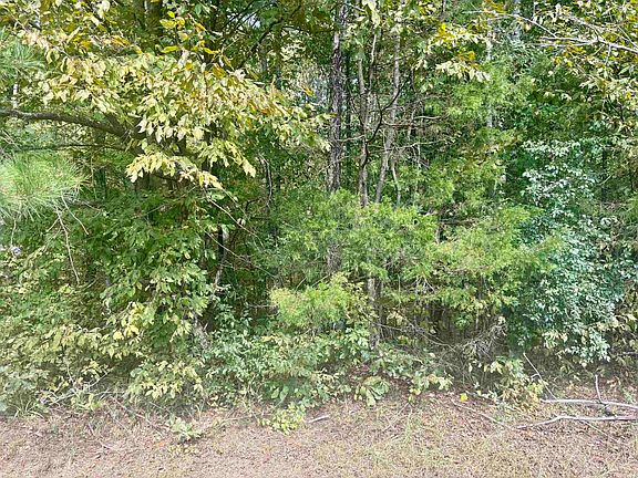 3rd image of TRACT 2 Steel Bridge Rd