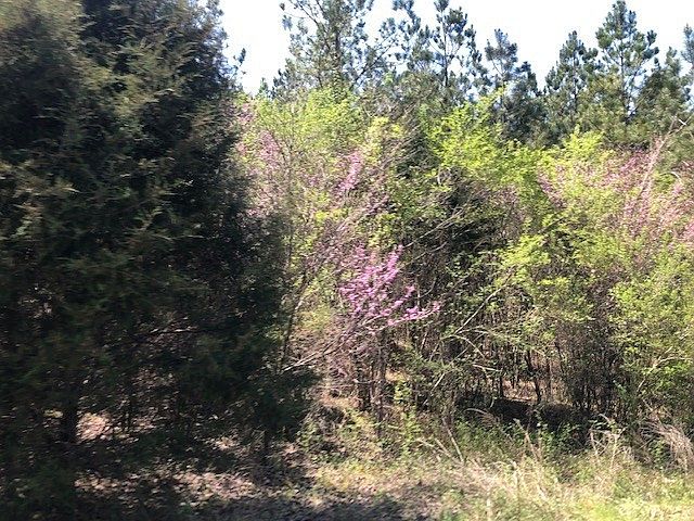 2nd image of 0 Sam Davis Rd Lot 16