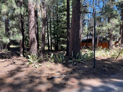 829 Tahoe Island Dr, South Lake Tahoe, CA, 96150
