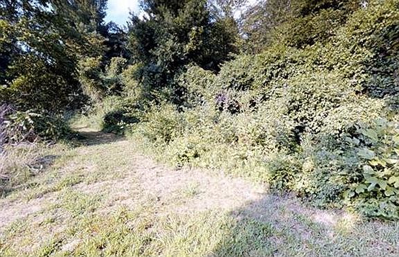 5th image of 25 Beulah Ln