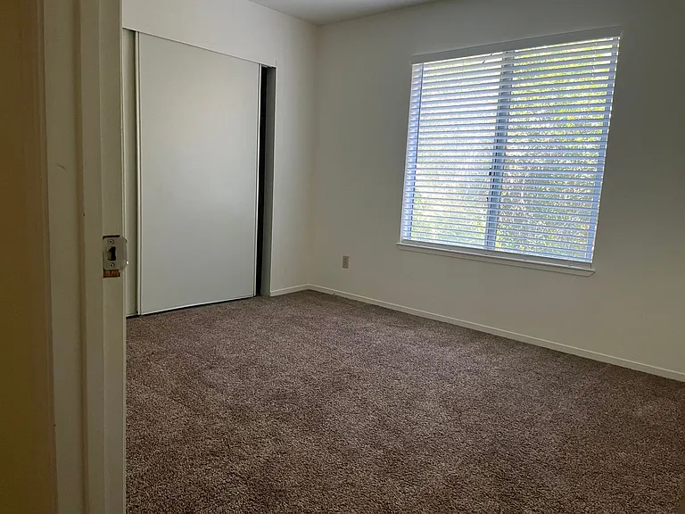 234 Soscol Ave — Photo 5