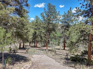 2338 Fitzsimmons Rd, Hartsel, CO 80449