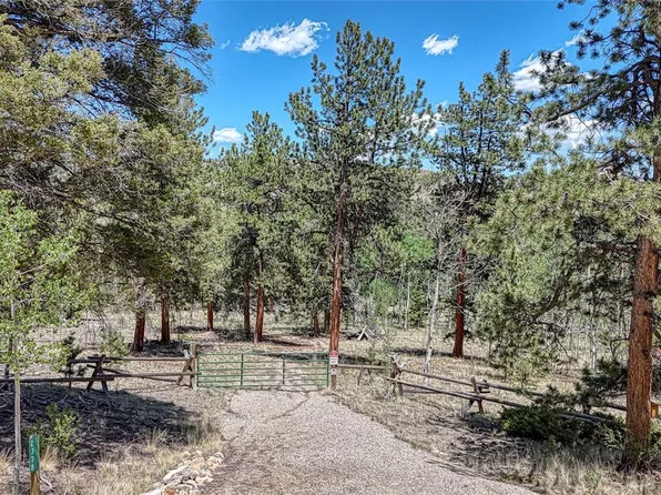 2338 Fitzsimmons Road, Hartsel, CO 80449