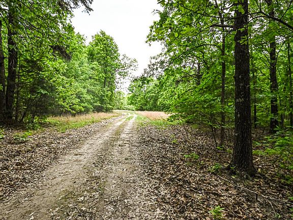 2nd image of 0 County Road 317