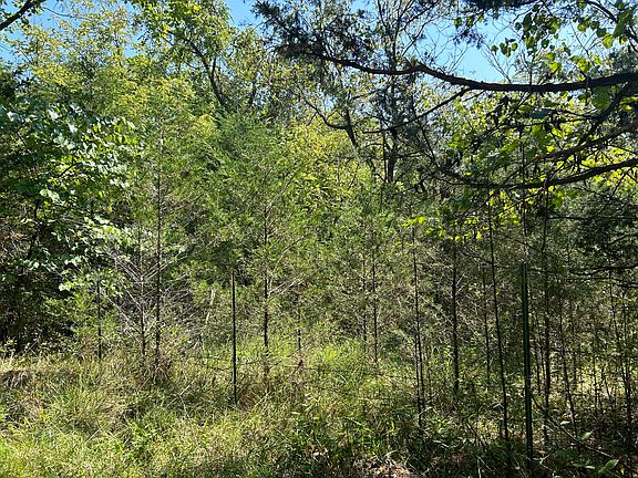 3rd image of 7789 Co Rd T-561