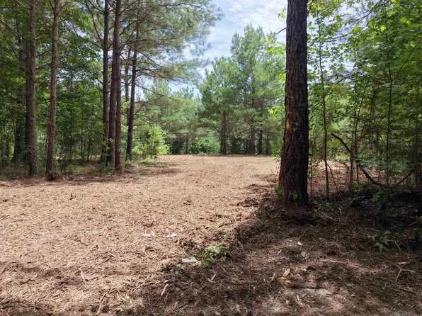 TRACT Jackson Rd #C, Kentwood, LA 70444