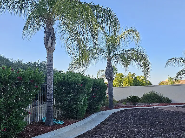 1 Vista Ripalti — Photo 50