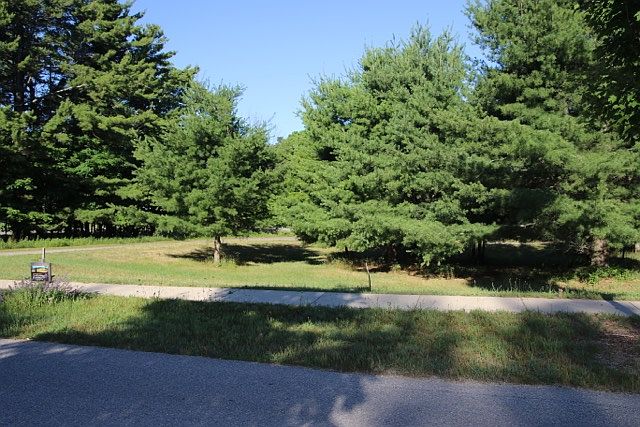 NE corner stake of Lot 56