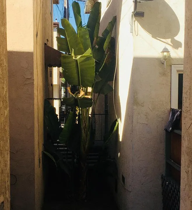 Close to front door