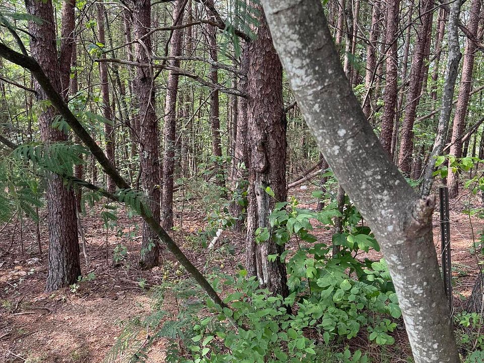 1st image of Seth Rd #14