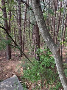 Seth Rd #14, Pigeon Forge, TN, 37863