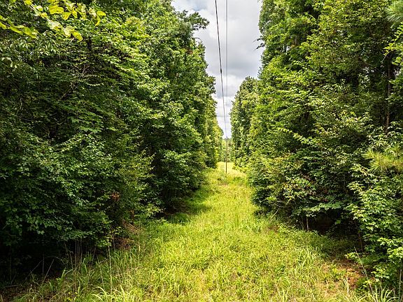 5th image of 195 Sharon Rd