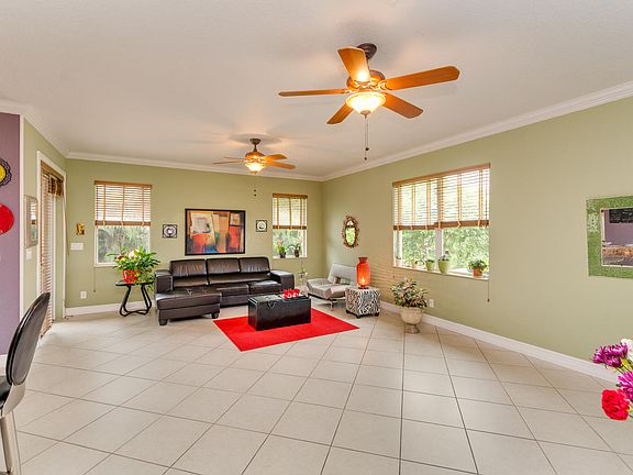 Huge & full of light family 